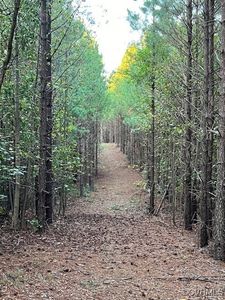 Property at Winnsville Dr, Bremo Bluff, VA