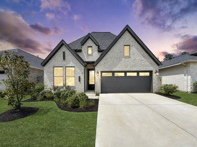 111 Harlequin Duck Ct