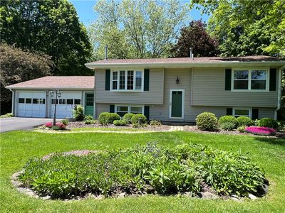 15 Webster Rd