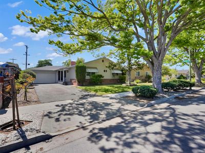 1924 Rosswood Dr