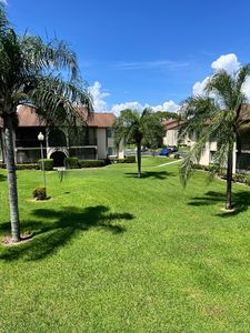 336 Knotty Pine C2 Circle #C-2