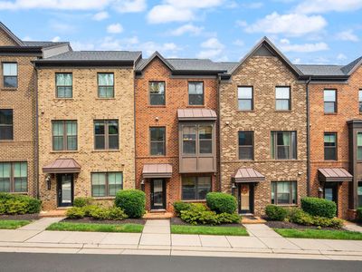 9345 Lemon Mint Ct