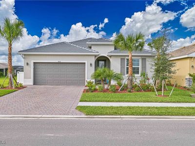 4000 Sweet Alyssum Ter