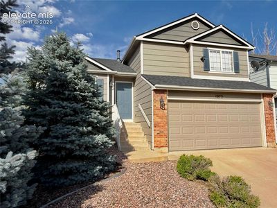 1073 Swayback Dr
