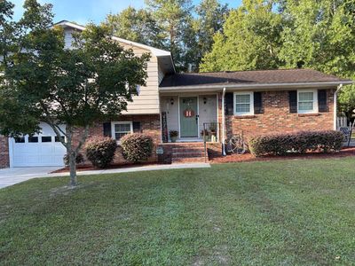 41 Westfield St