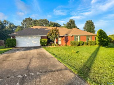 223 Williston Dr