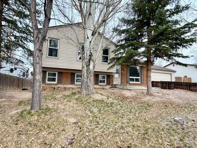 1010 Elk Mountain Dr