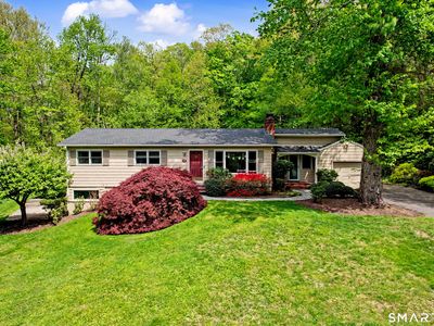 46 Todds Road