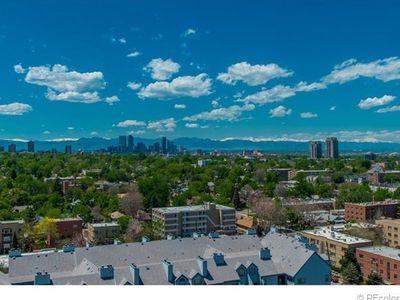 1155 Ash St APT 1504