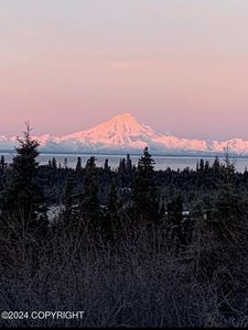 28445 Old Setnetter Dr