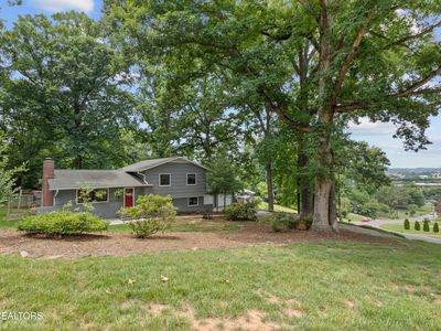 329 Elkmont Rd