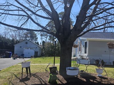 12 Conte Avenue