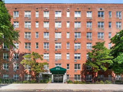642 Locust Street #4H