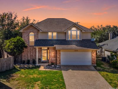 14235 Red Maple Wood