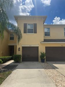 9412 TRUMPET VINE LOOP