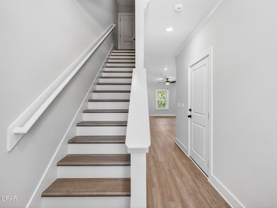 313 Cyan Ln #31