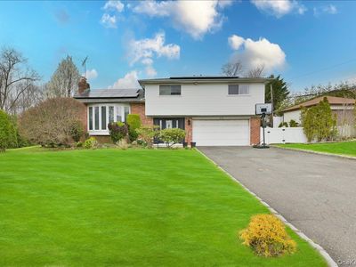 11 Hamilton Drive