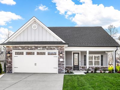 Birch Plan, Springbrook Reserve