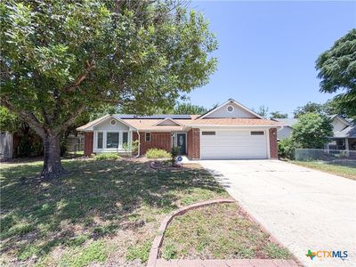 3303 Paintrock Dr