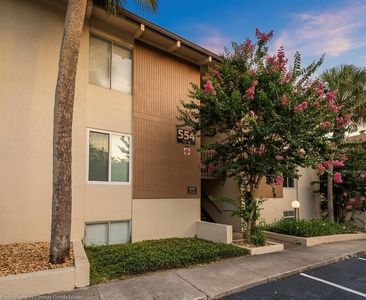 554 Orange Dr APT 15