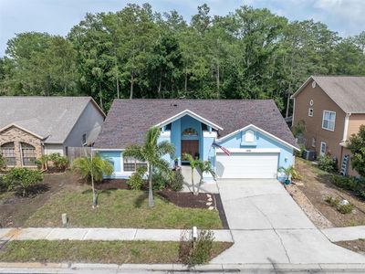 1938 Wood Thrush St