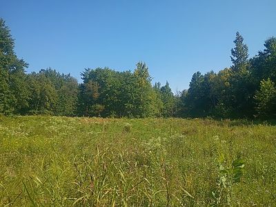 1899 Cavanaugh Rd