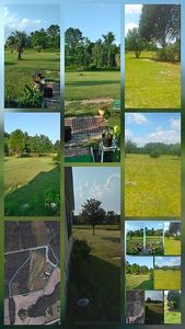 Property at 266 Fernview St, Bowman, SC
