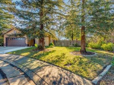 8240 Brewster Mill Cir