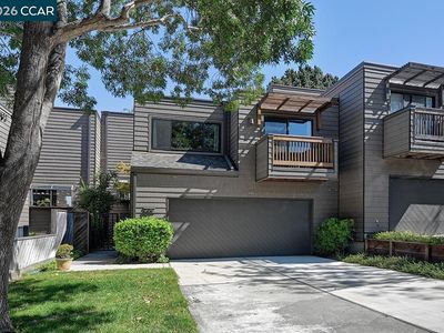 557 Monarch Ridge Dr