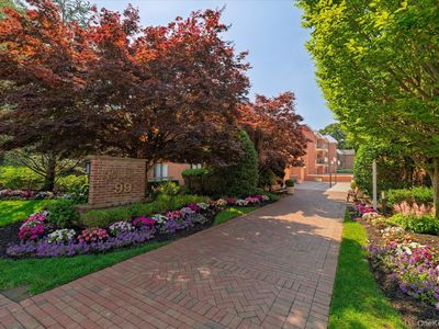 99 S Park Avenue #212