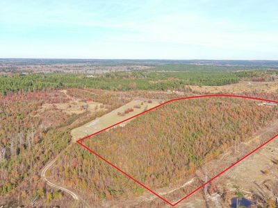 695 County Road 1463