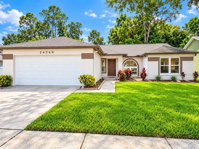 24360 TWIN LAKE DRIVE