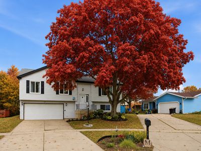 17 Windgate Ct