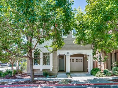 201 Pine Way