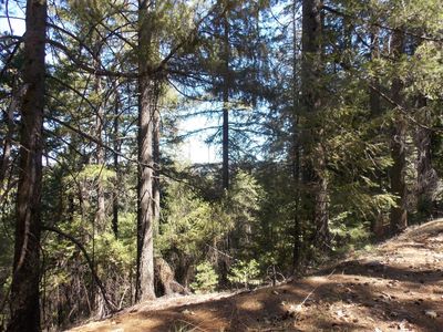 Property at 26311 Shake Ridge Rd, Volcano, CA