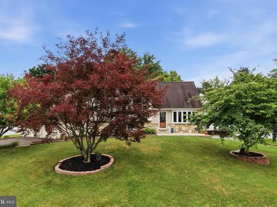 114 Dolly Ln