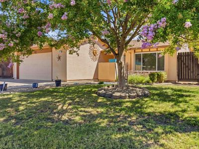 7024 Stanford Oak Dr