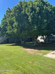 4224 N 12th St UNIT 207