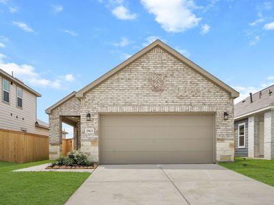 29123 Dandelion Sky Dr