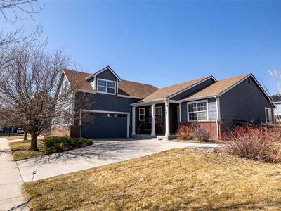 275 Gold Maple Street