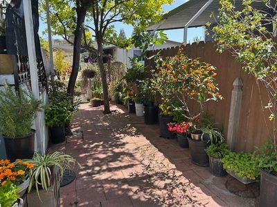 486 Pomegranate Ln #486