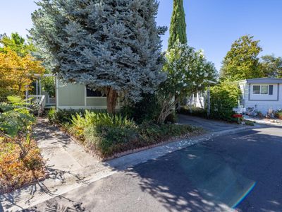311 Bluebird Ln