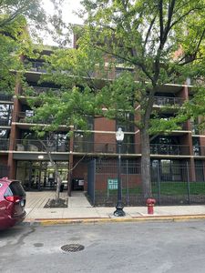 3021 S Michigan Ave Unit 311