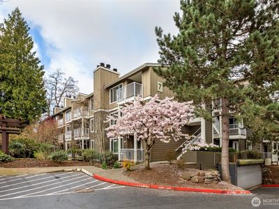 300 N 130th Street #7105