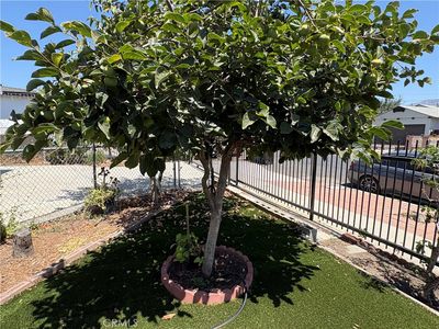 Property at 11241 De Haven Ave, Pacoima, CA