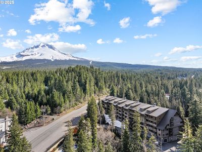 31200 E Collins Lake Rd #1