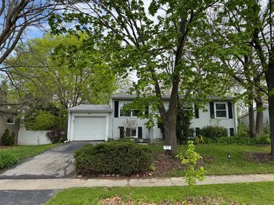 36581 N Grandwood Dr