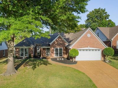 2626 Twisted Oak Cv S