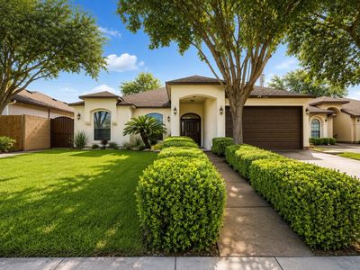 2104 Foggy Loop