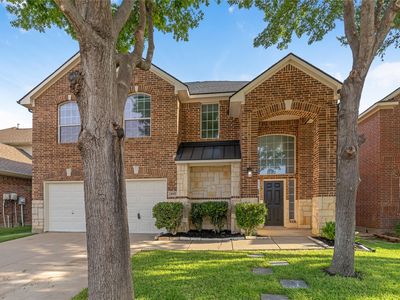 4617 Dwarf Nettle Dr